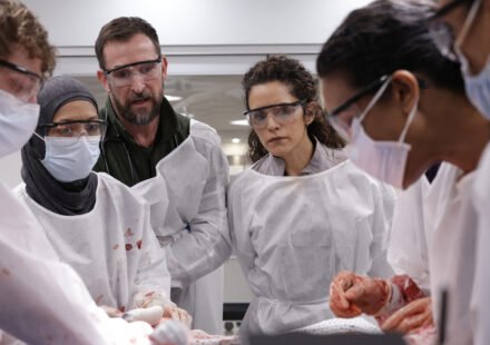 HBO Max renova 'The Pitt' para 3ª temporada antes mesmo da estreia da 2ª!