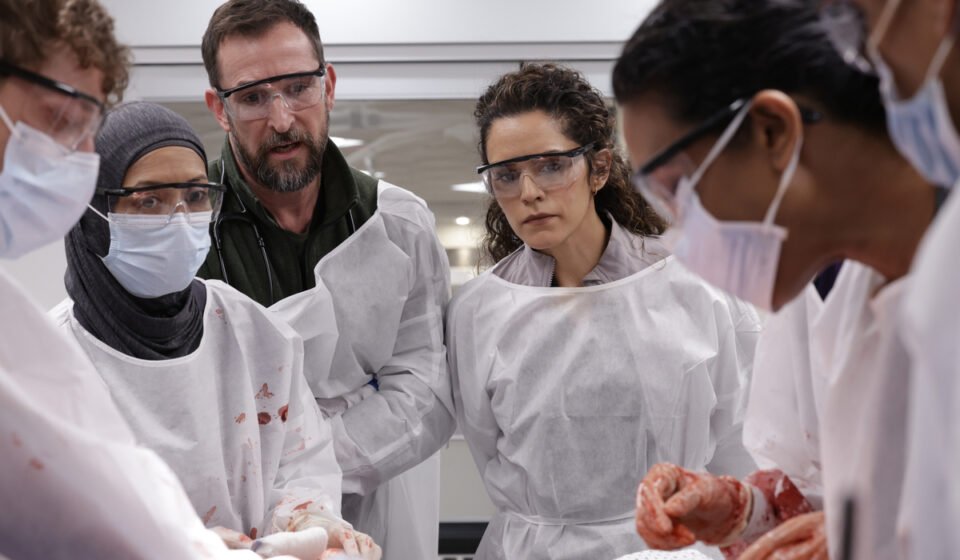 HBO Max renova 'The Pitt' para 3ª temporada antes mesmo da estreia da 2ª!